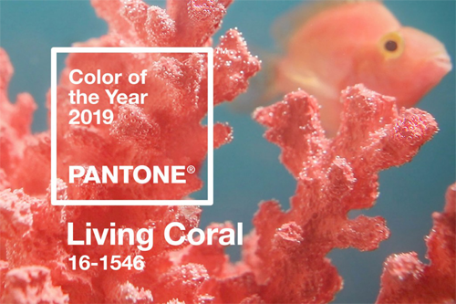 high-resolution printing of pink living corals