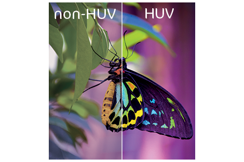Perfect color and definition of a butterfly picture by HUV printing